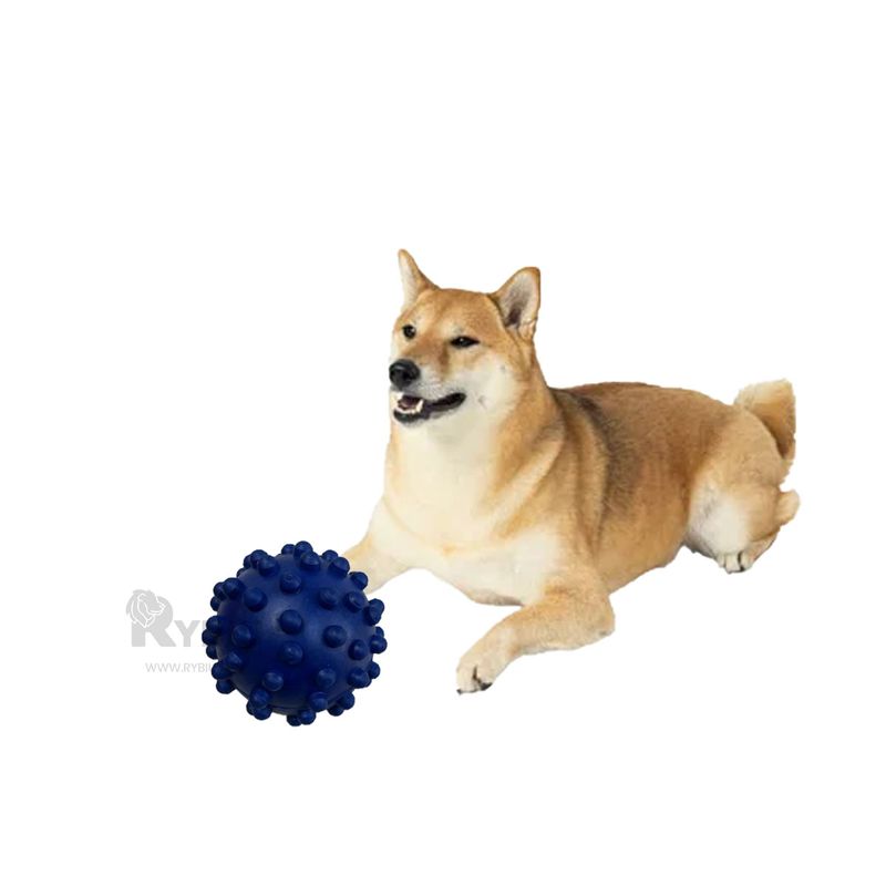 RYBIU IMPORT - Pelota Chica Facil de Limpiar en Azul Y+Regalo Agendita