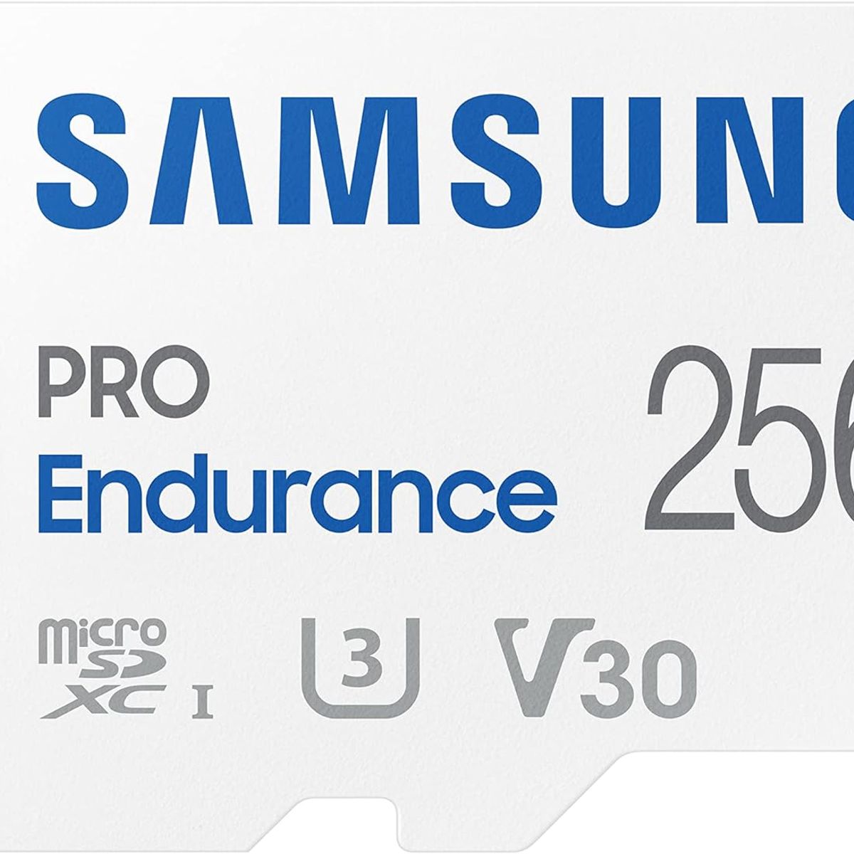 SAMSUNG - SAMSUNG PRO Endurance - Tarjeta de memoria MicroSDXC de 256 GB