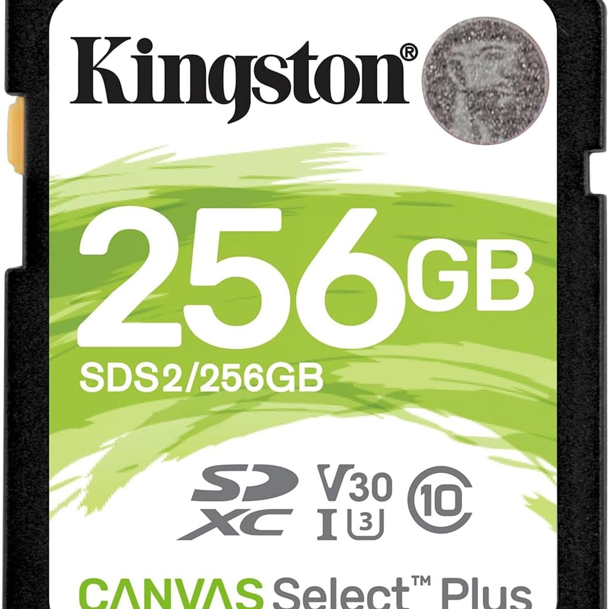 KINGSTON - MEMORIA SD DE 256GB 100MBs SDXC