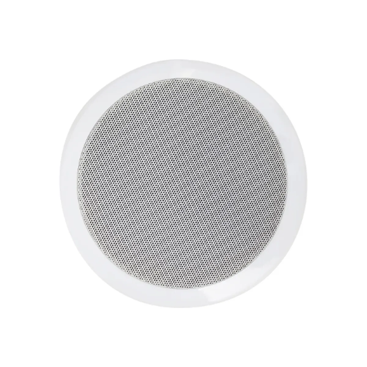 GENERICO - Parlante Ambiental para Cielo Razo 65″ 30W MS-606T VOYZ