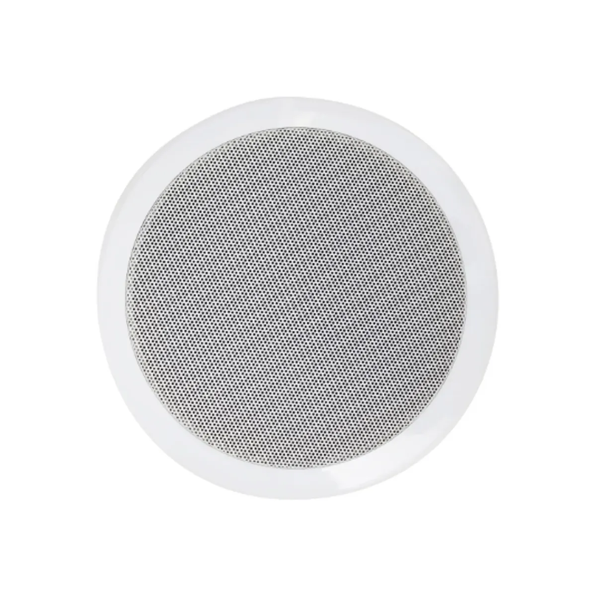 GENERICO - Parlante Ambiental para Cielo Razo 65″ 30W MS-606T VOYZ