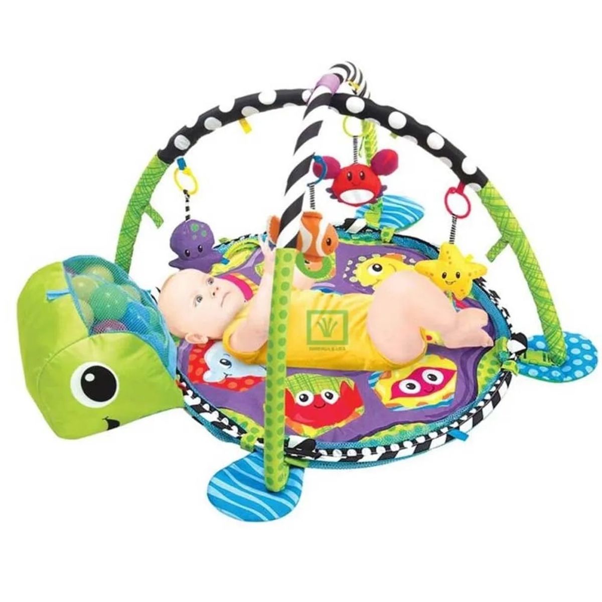 GENERICO - Gym de Estimulacion con Pelotas Tortuga