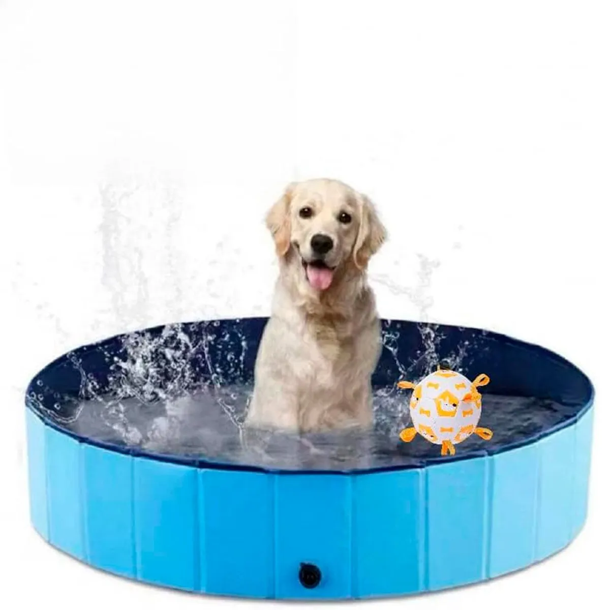 QUE PATAS PET SHOP - Piscina para Mascotas
