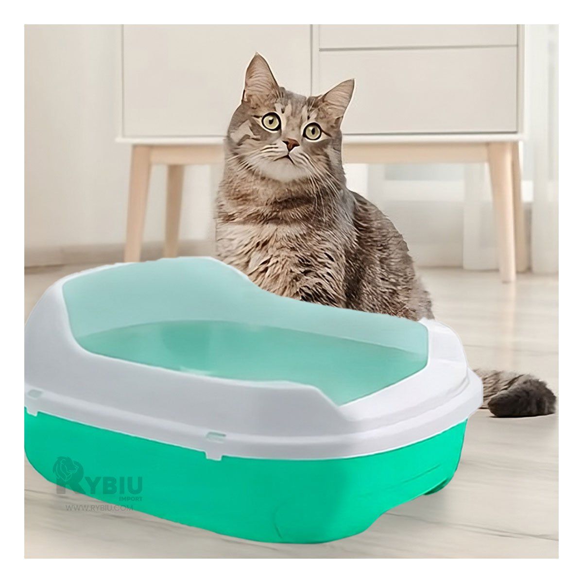 RYBIU IMPORT - Arenero Ergonomico para Gato con Bandeja en Verde Agua