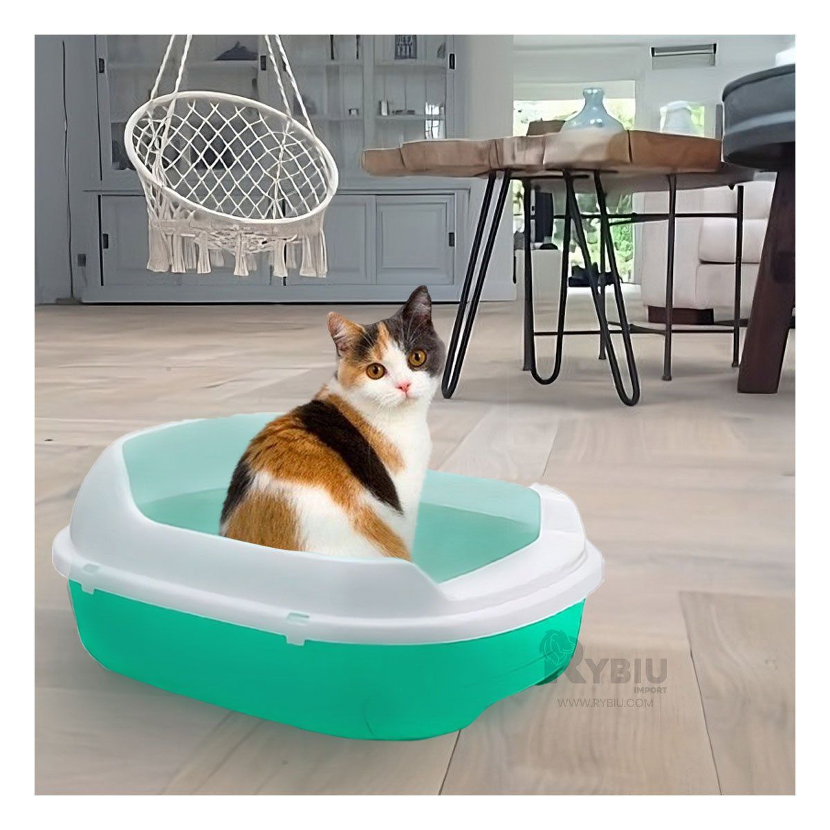 RYBIU IMPORT - Arenero para Gatos Ergonomico Verde Agua Y+Regalo Agendita