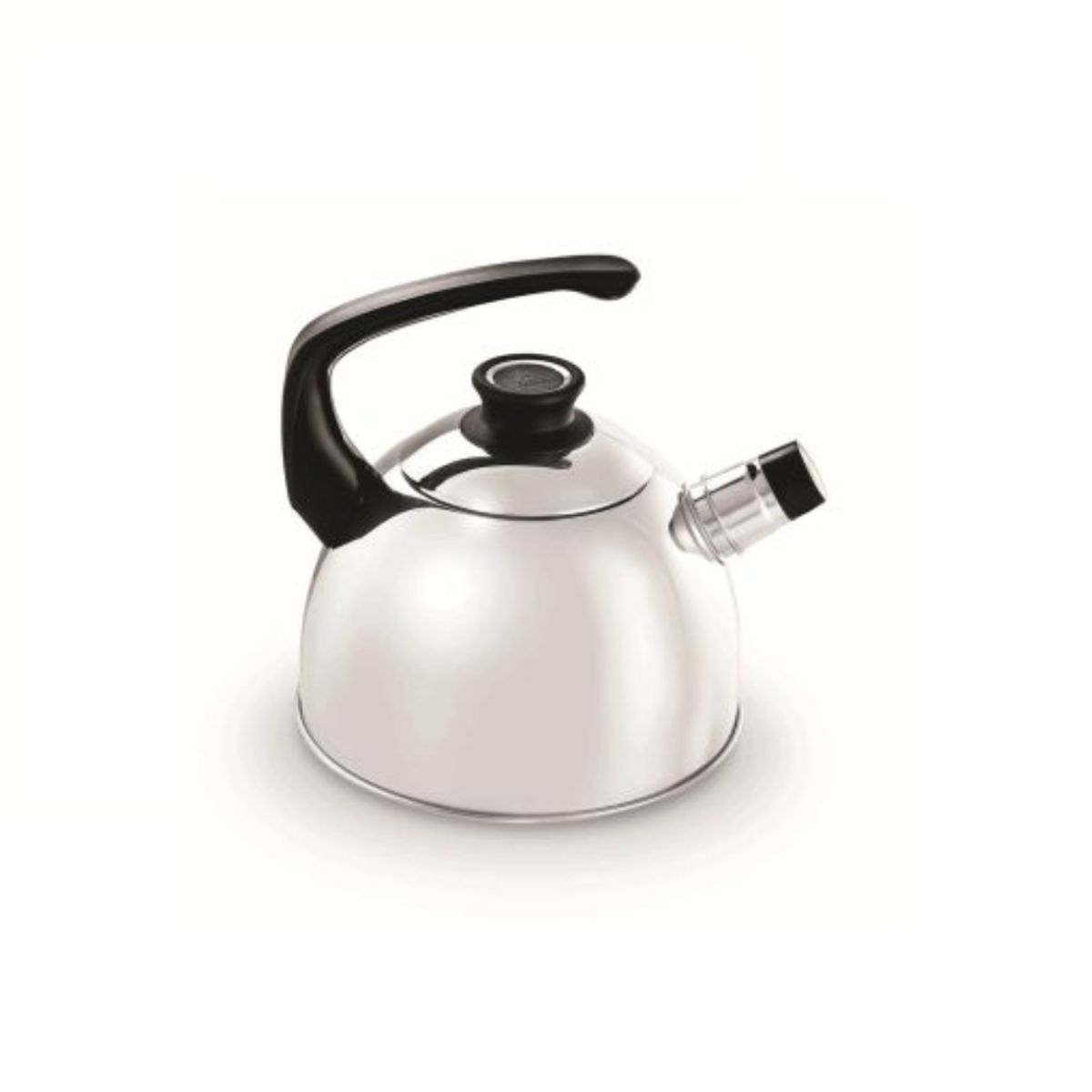 RECORD - Tetera Record Acero inoxidable 24L  TE INOXCLASICA N20