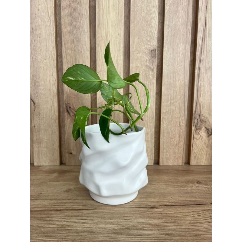 MAP DESIGN HOME - Florero Irregular Soho Blanco 13x14 cm