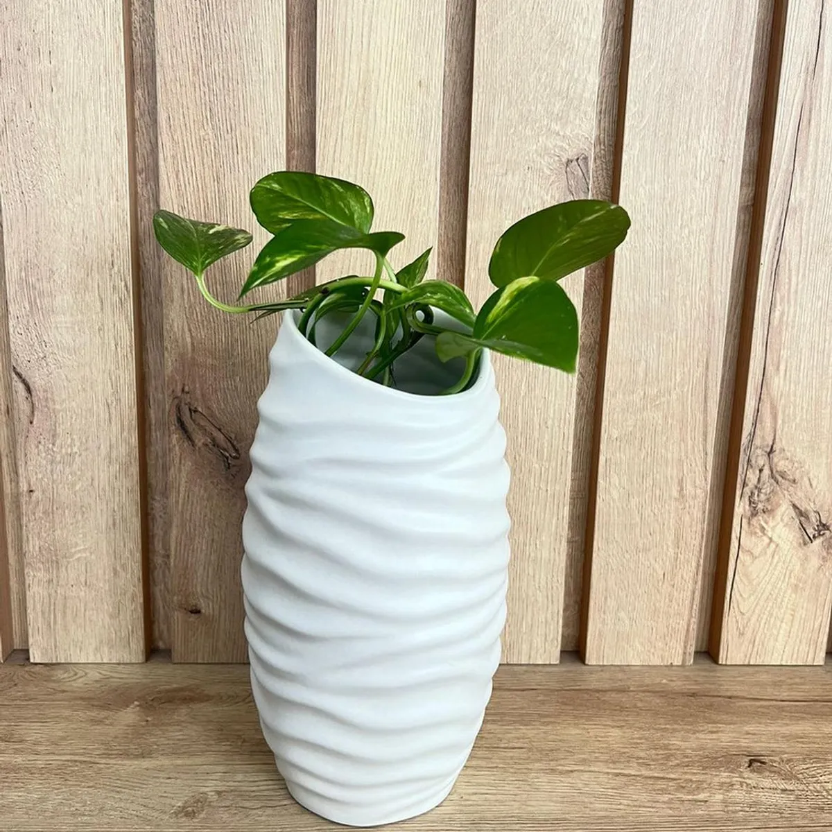 MAP DESIGN HOME - Florero Soho Largo Petit Blanco 13x24 cm