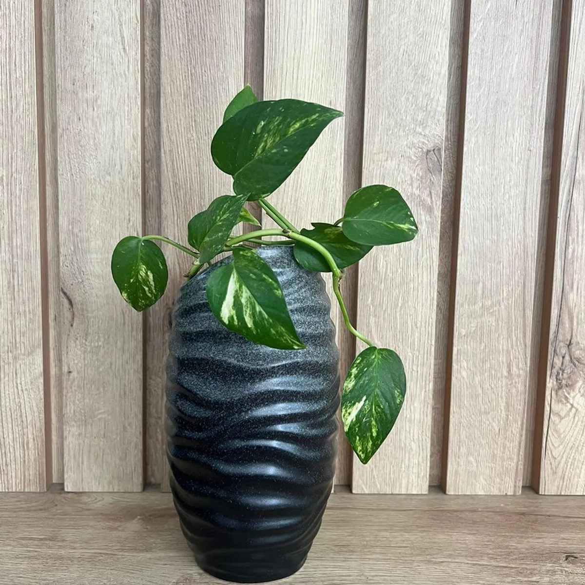 MAP DESIGN HOME - Florero Soho Largo Petit Blanco 13x24 cm