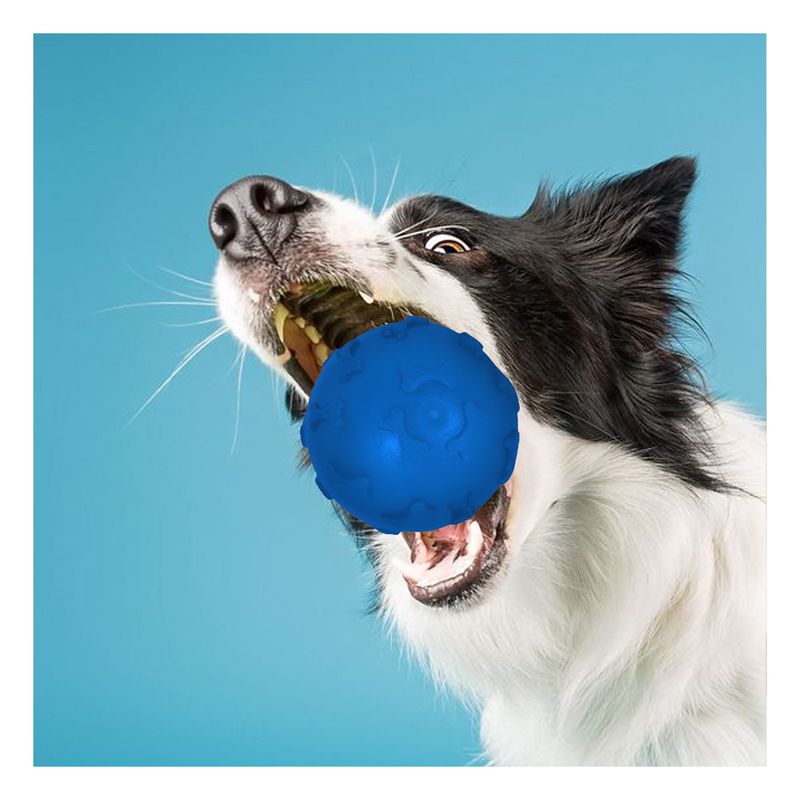 RYBIU IMPORT - Pelota Divertida y Pequeña Pet en Azul Y+Papel de Regalo