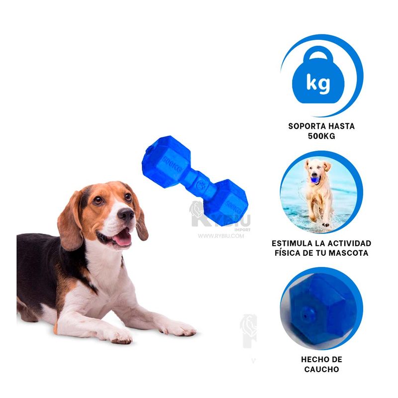 GENERICO - Juego de Caucho para Perro en Color Azul Y+Post-it Adhesivos