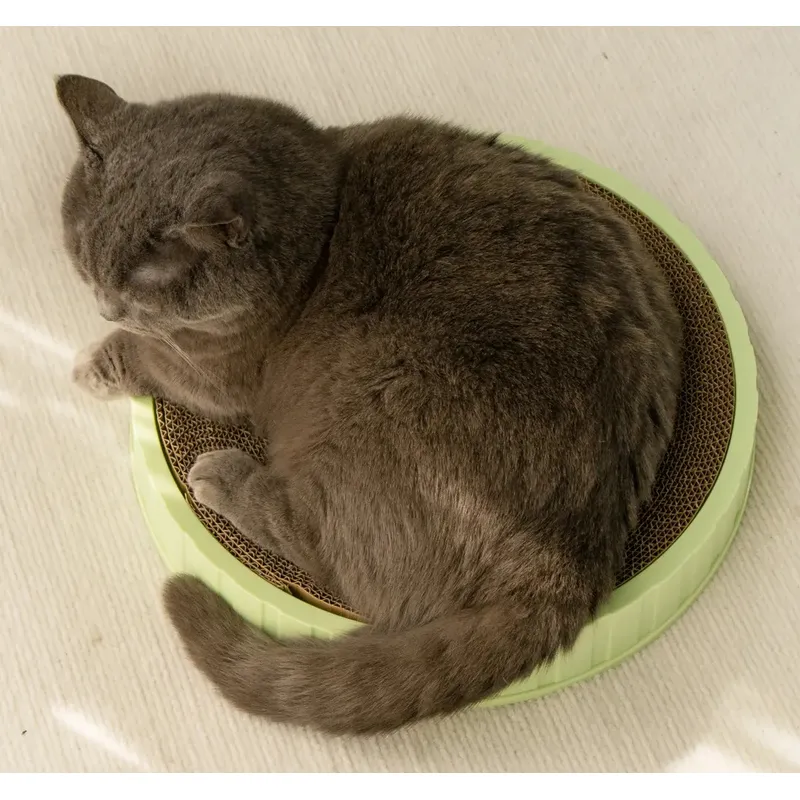 GENERICO - Rascador para gato circular 50cm BP - Verde
