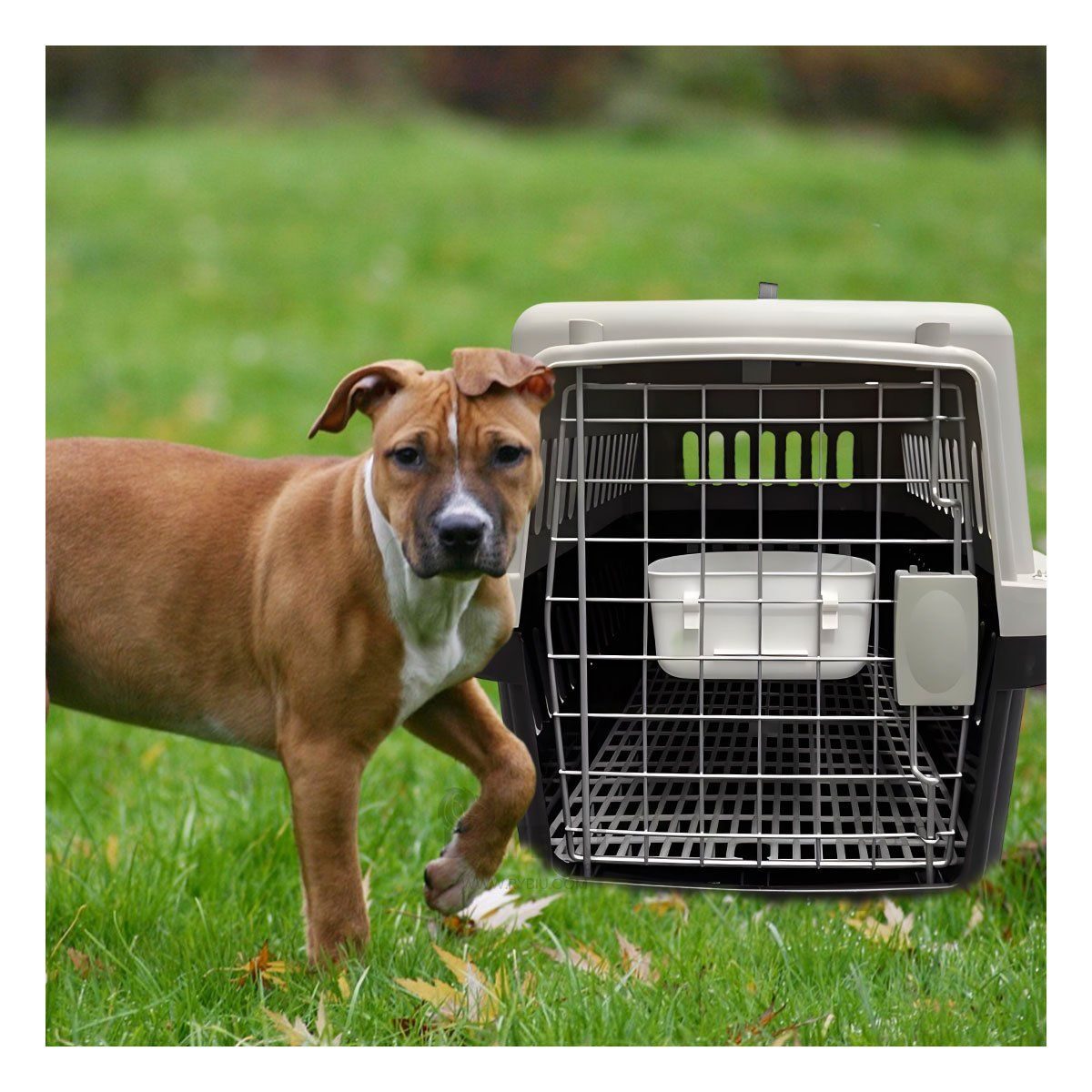 RYBIU IMPORT - Transportadora Pet de Plastico Compacto L60 en Color Negro