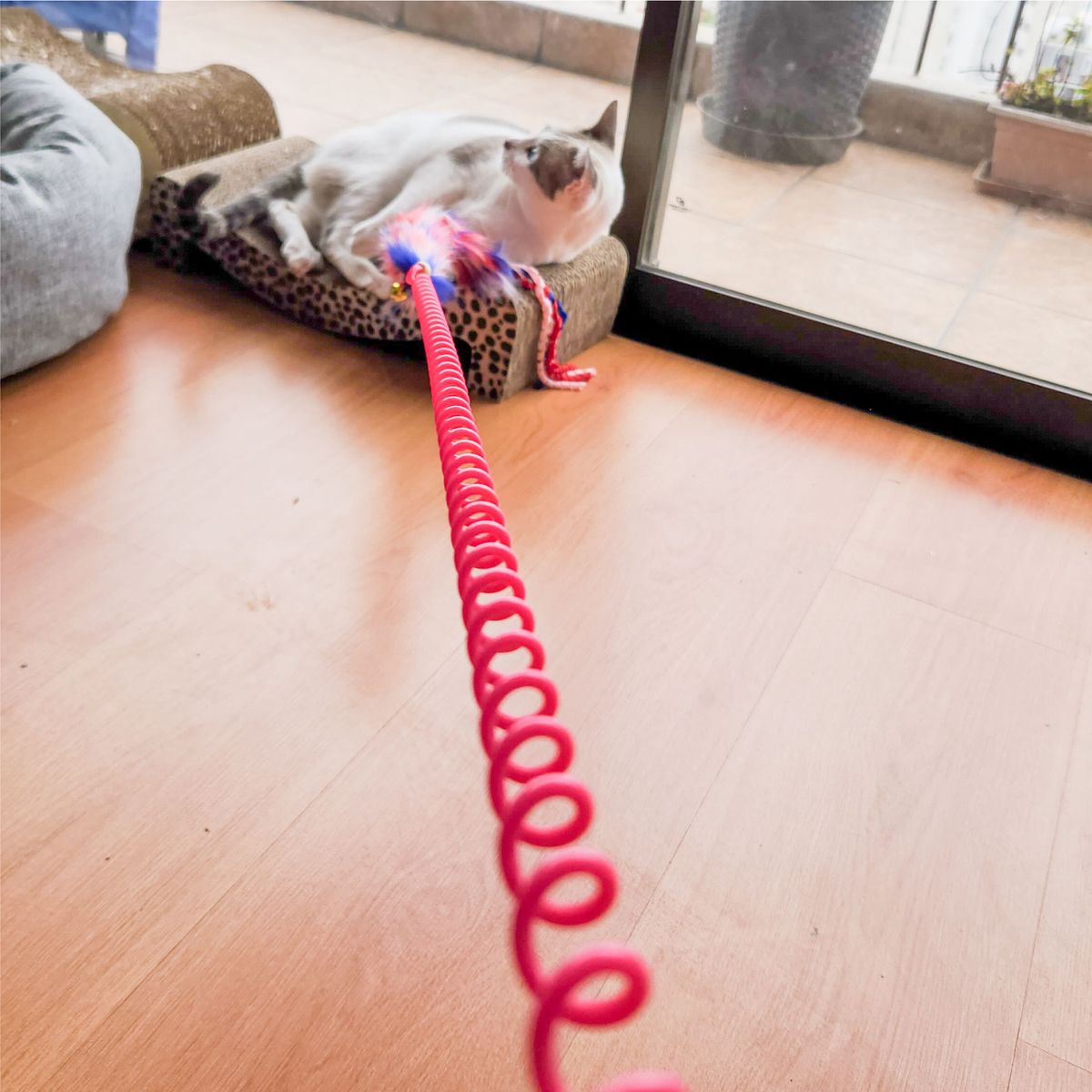 ALL FOR PAWS - Juguete para gatos Palita peluda con anillo para dedo