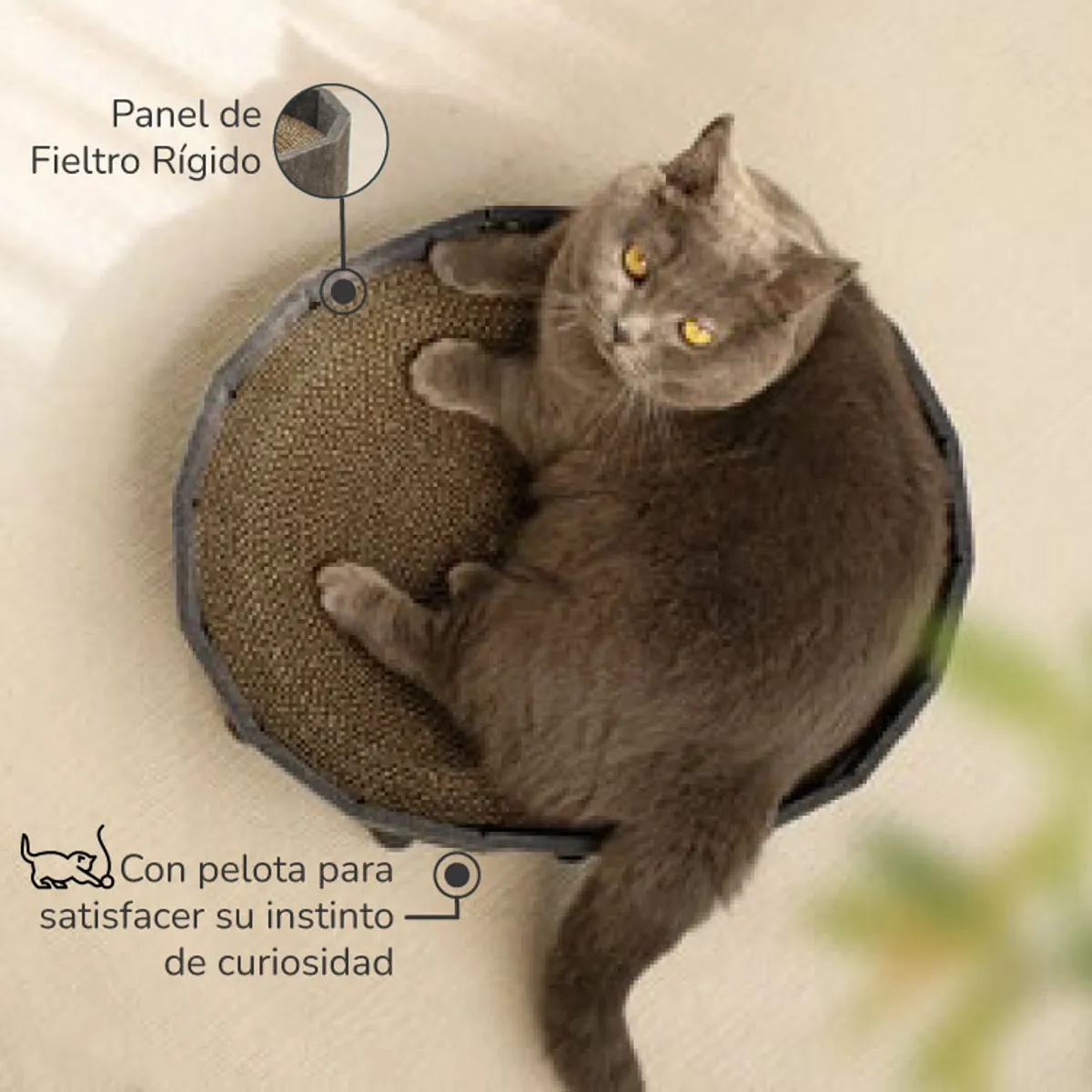CAT OH - Juguete Rascador para gatos Minina Scratch Play
