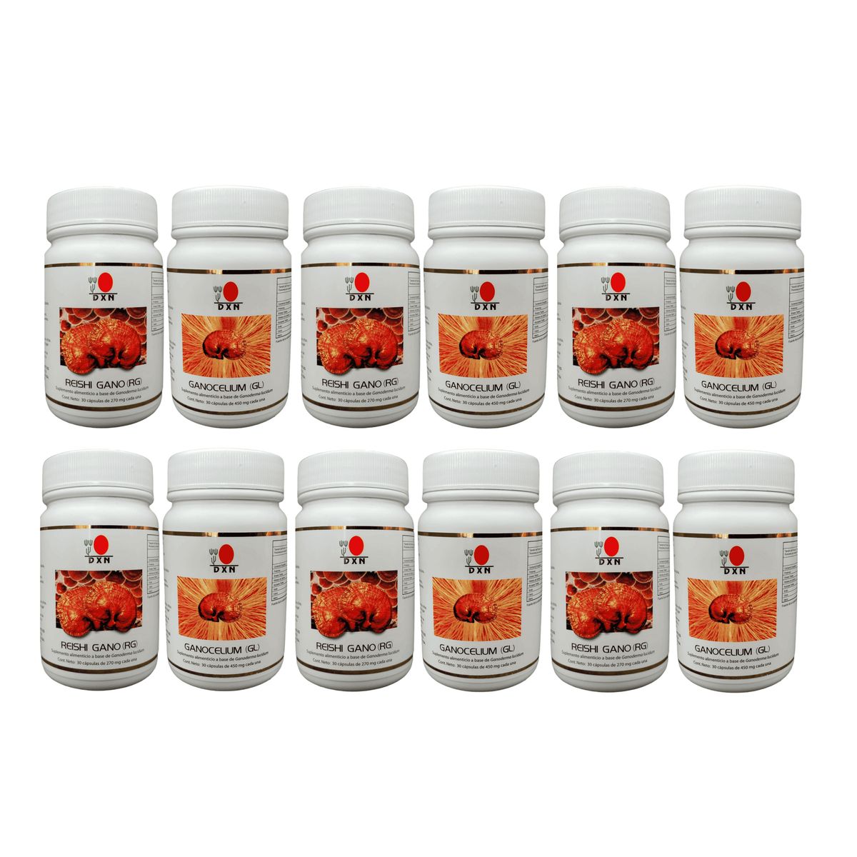 DXN - Ganoderma Dxn Reishi Rg & Ganocelium Gl 12 Potes 30 Capsulas