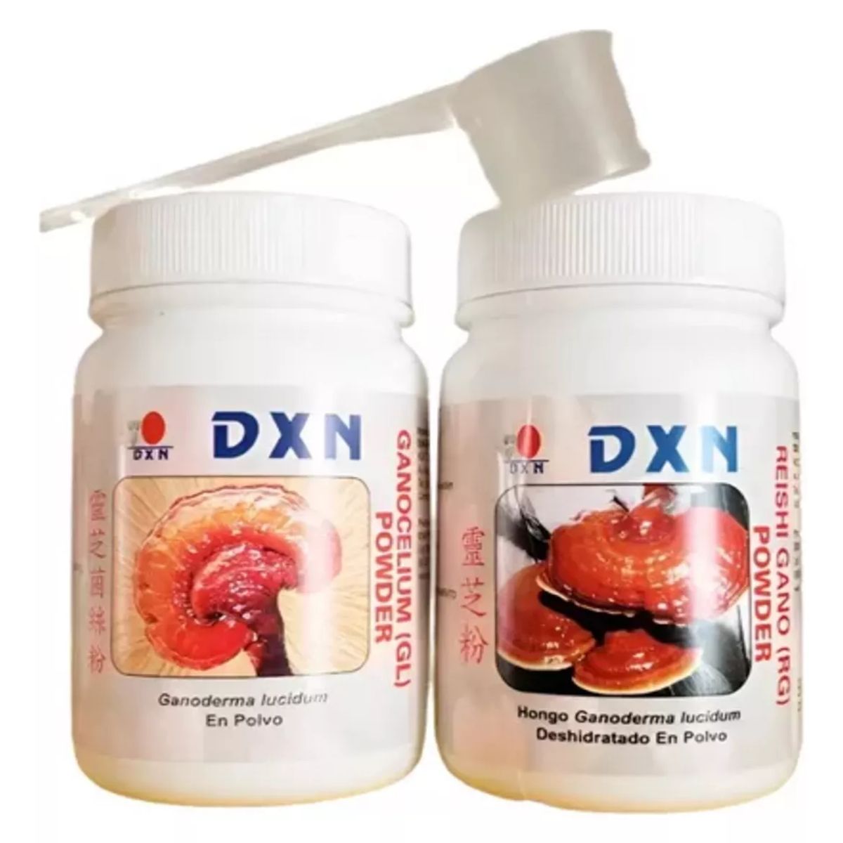 DXN - Ganoderma Reishi Rg & Ganocelium Gl Dxn Polvo 02 Potes