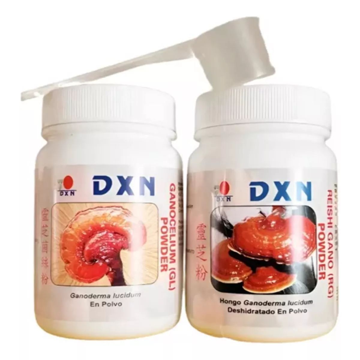 DXN - Ganoderma Reishi Rg & Ganocelium Gl Dxn Polvo 02 Potes