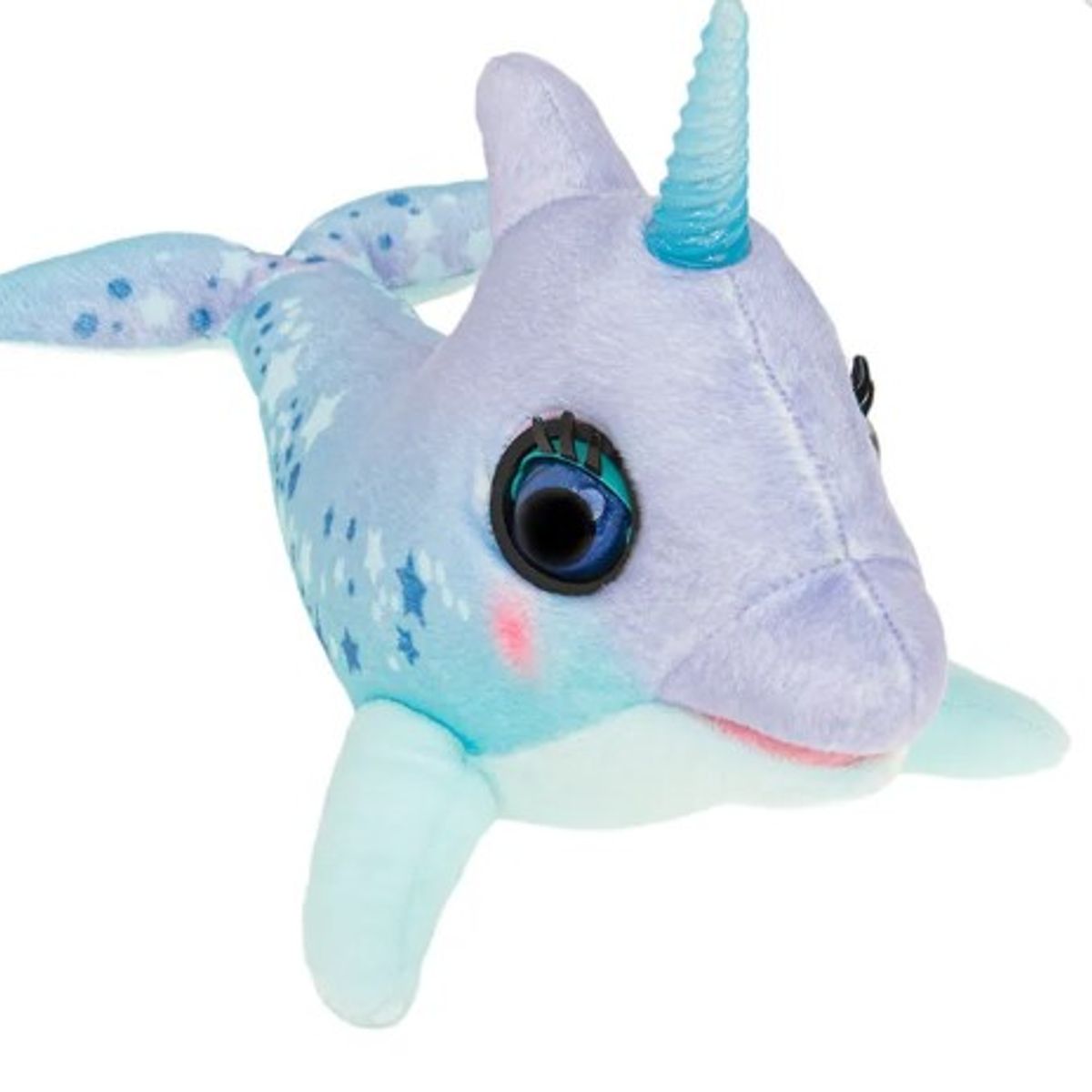 GENERICO - delfin interactivo tendencia 2024