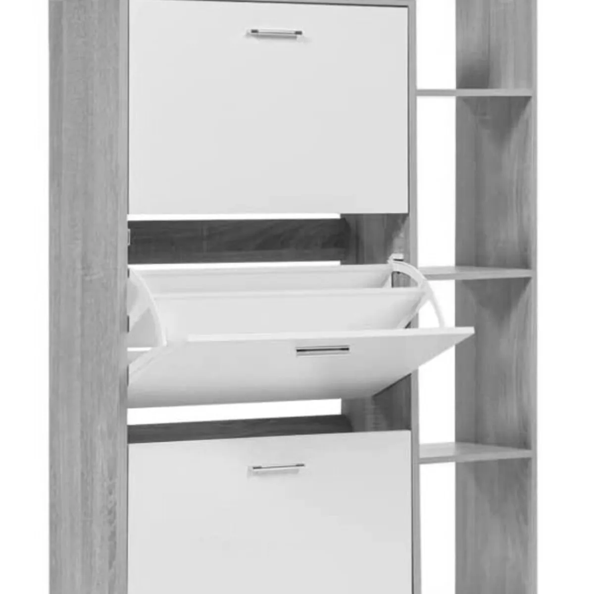 GENERICO - Zapatera Moderna Minimalista Adan color Negro R&R Muebles