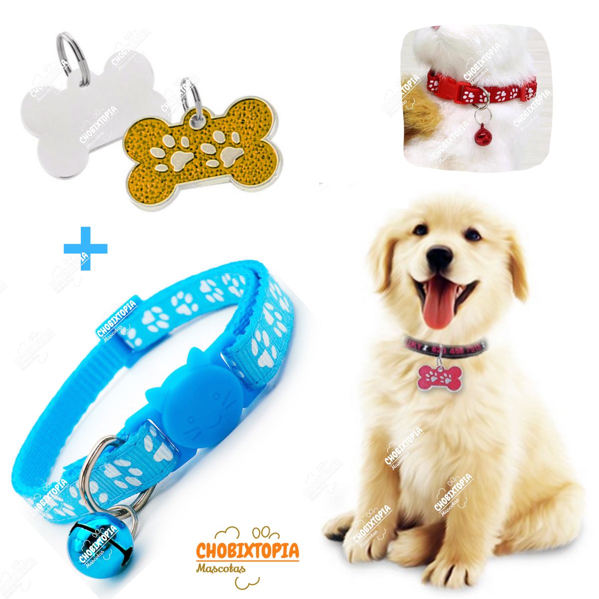 GENERICO - PLACA Y COLLAR PARA MASCOTAS CON CASCABEL - CELESTE Y DORADO