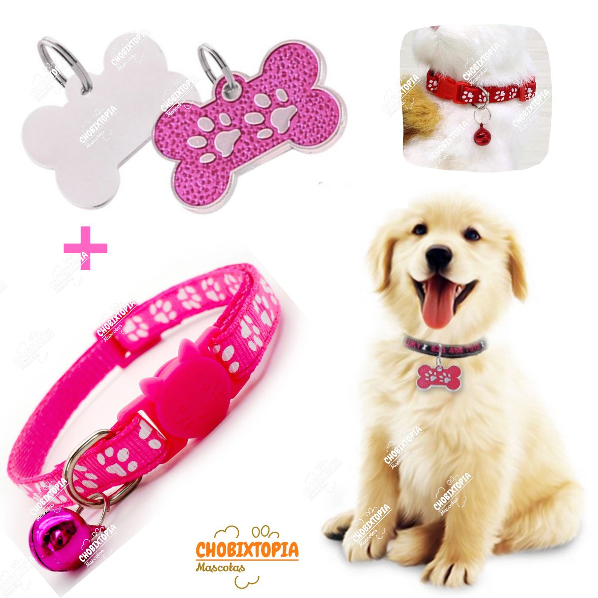 GENERICO - PLACA Y COLLAR PARA MASCOTAS CON CASCABEL - FUCSIA