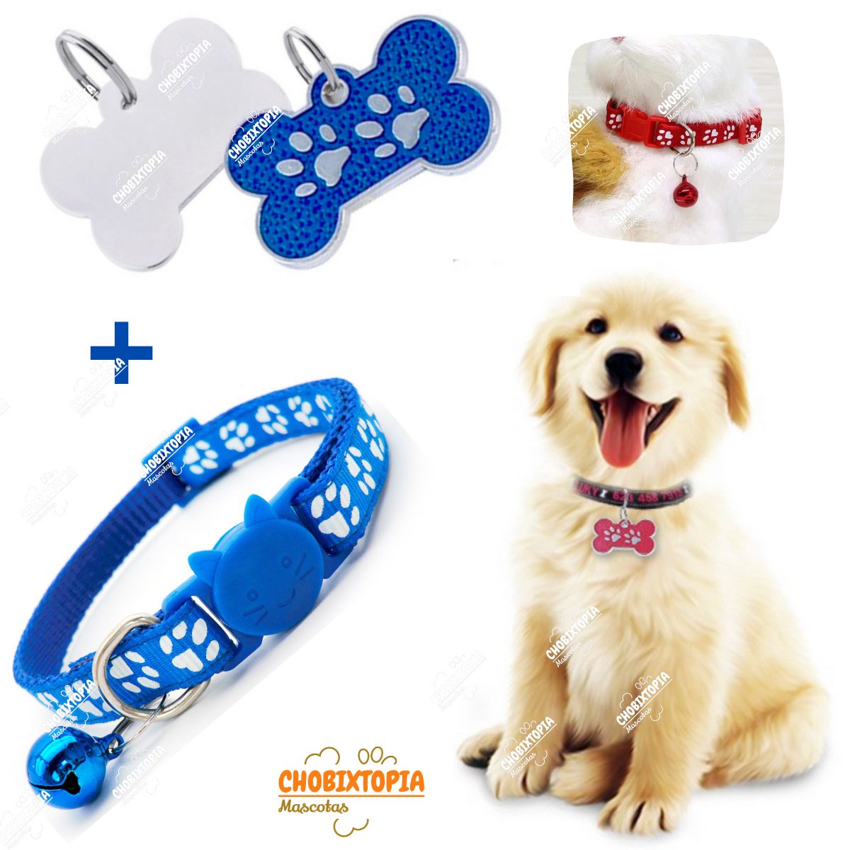 GENERICO - PLACA Y COLLAR PARA MASCOTAS CON CASCABEL - AZULINO