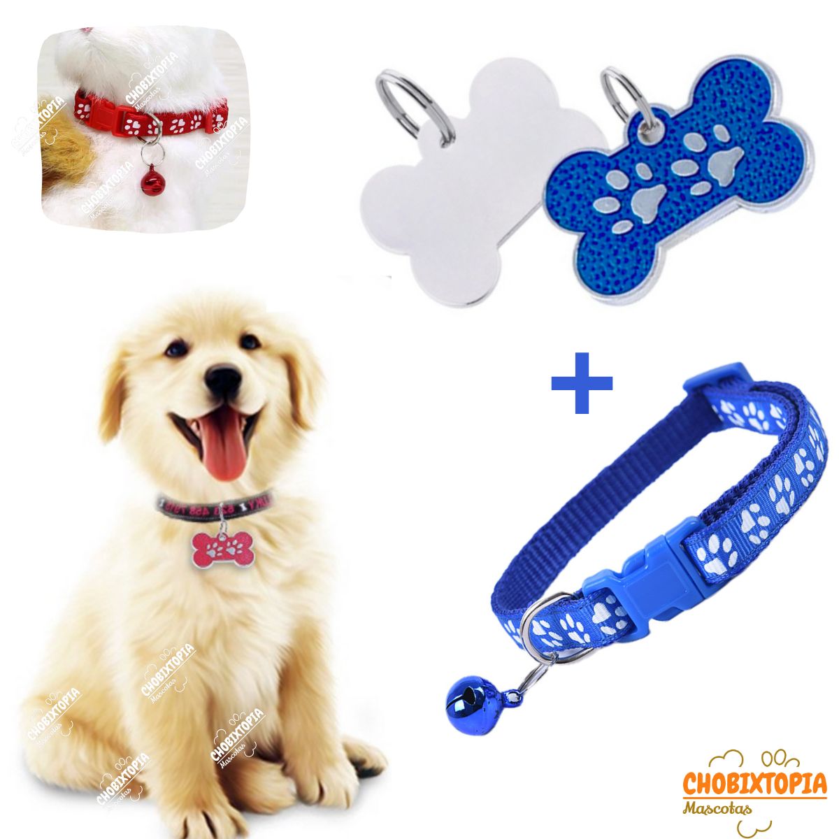 GENERICO - PLACA Y COLLAR PARA MASCOTAS CON CASCABEL - AZULINO