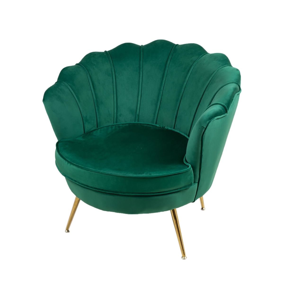 SHEGOSE - SG BUTACA ZOLLA SHEGOSE