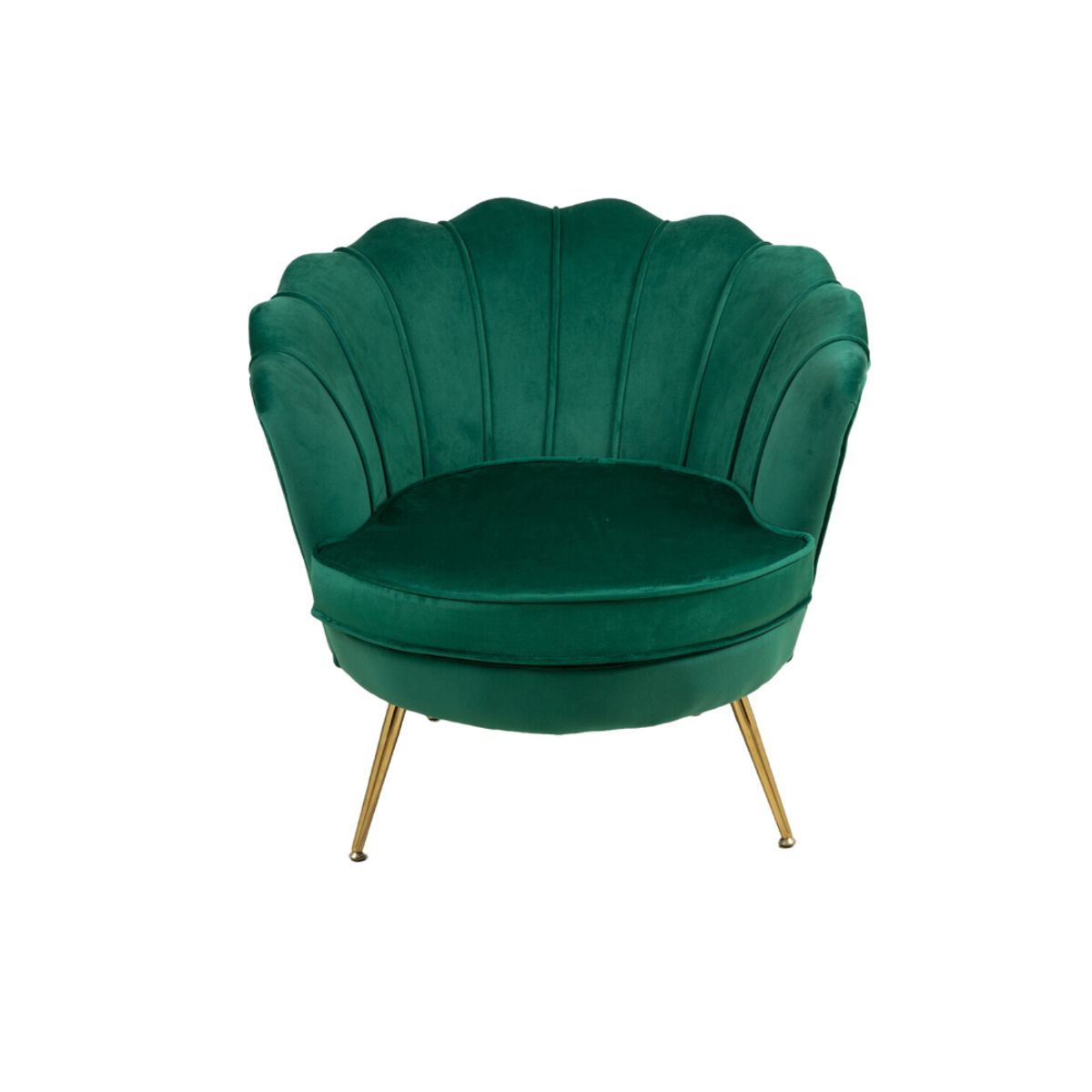 SHEGOSE - SG BUTACA ZOLLA SHEGOSE