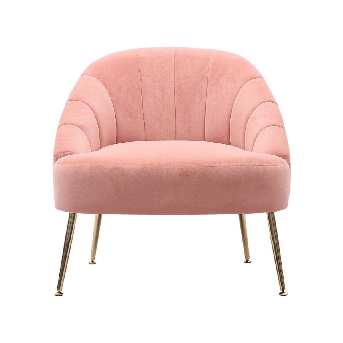 SHEGOSE - SG BUTACA TERAN SHEGOSE