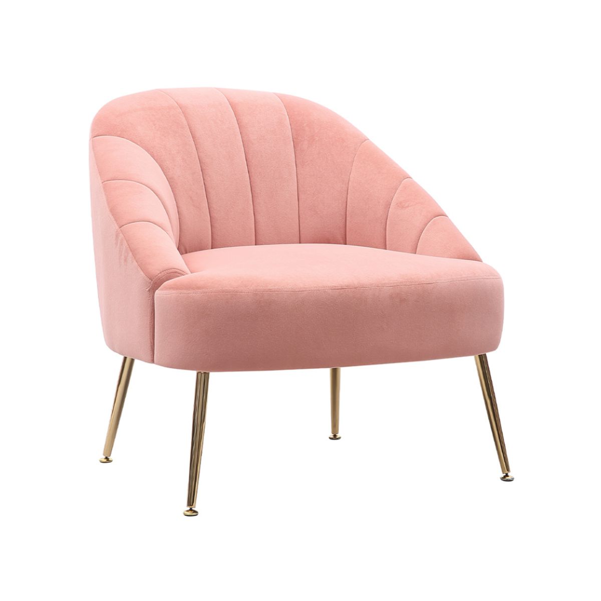 SHEGOSE - SG BUTACA TERAN SHEGOSE