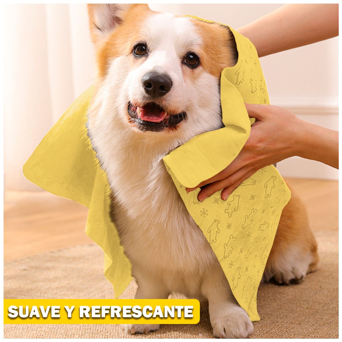 KELLER - Toalla Absorbente AM M42 Y Toallitas Húmedas para Perros JM1