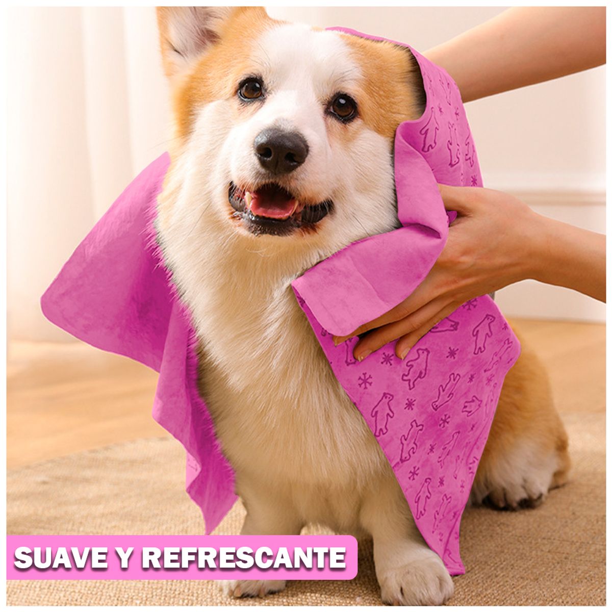 KELLER - Toalla Absorbente RS M42 Y Toallitas Húmedas para Perros JM1