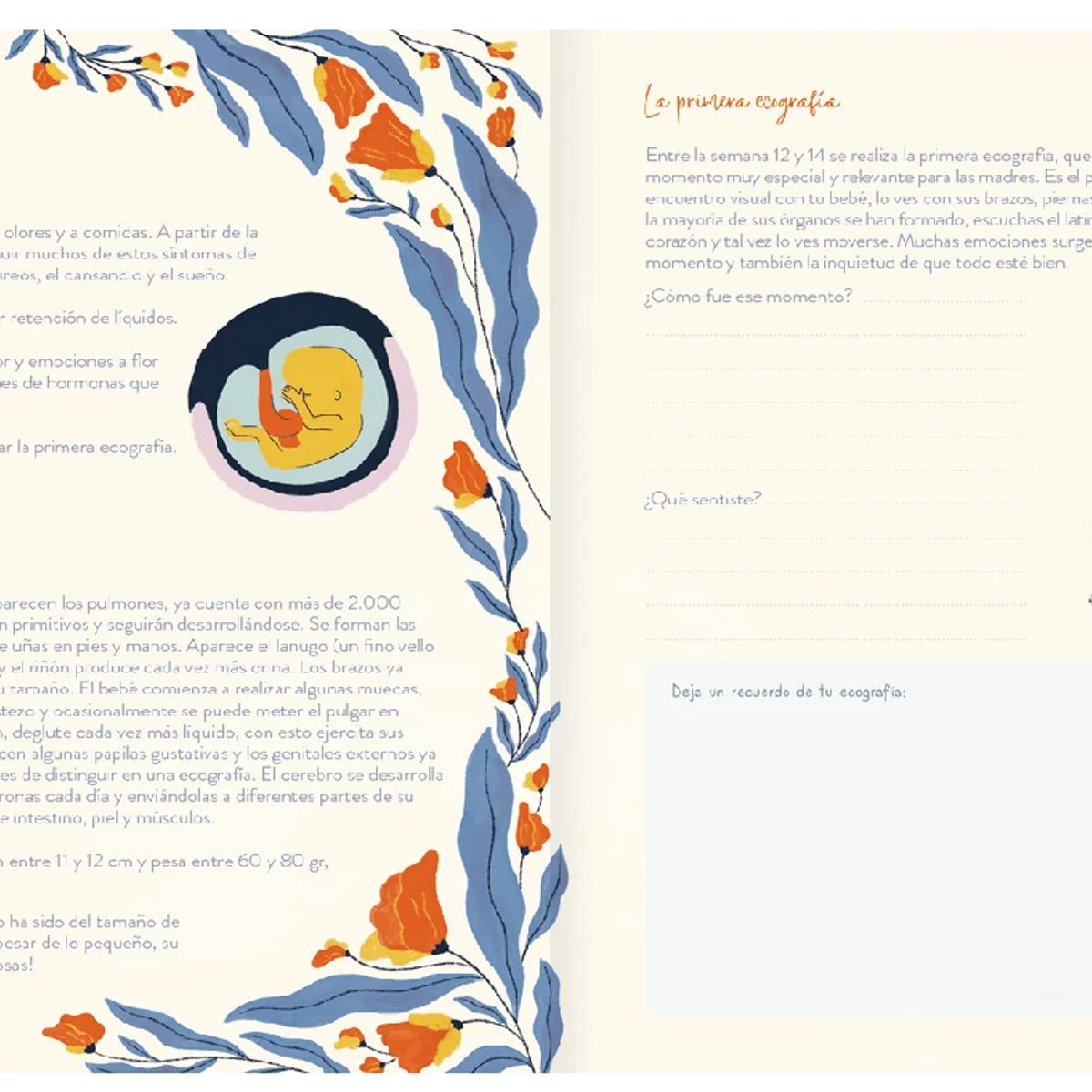 GENERICO - Bitácora de Embarazo album