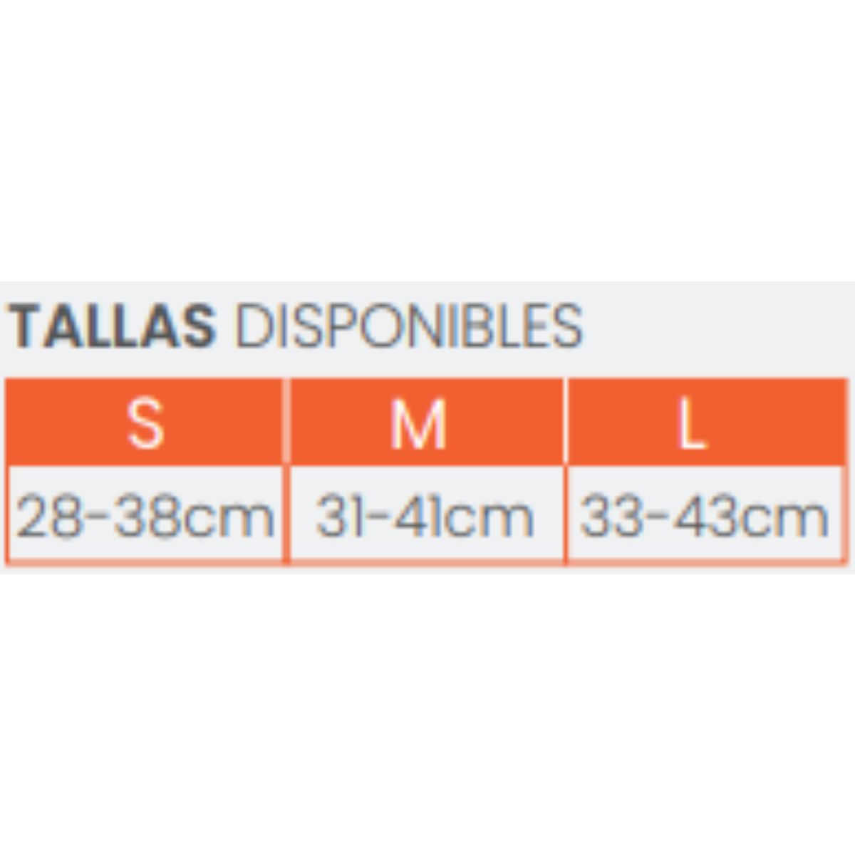 ARGYM - RODILLERA DE BASQUET
