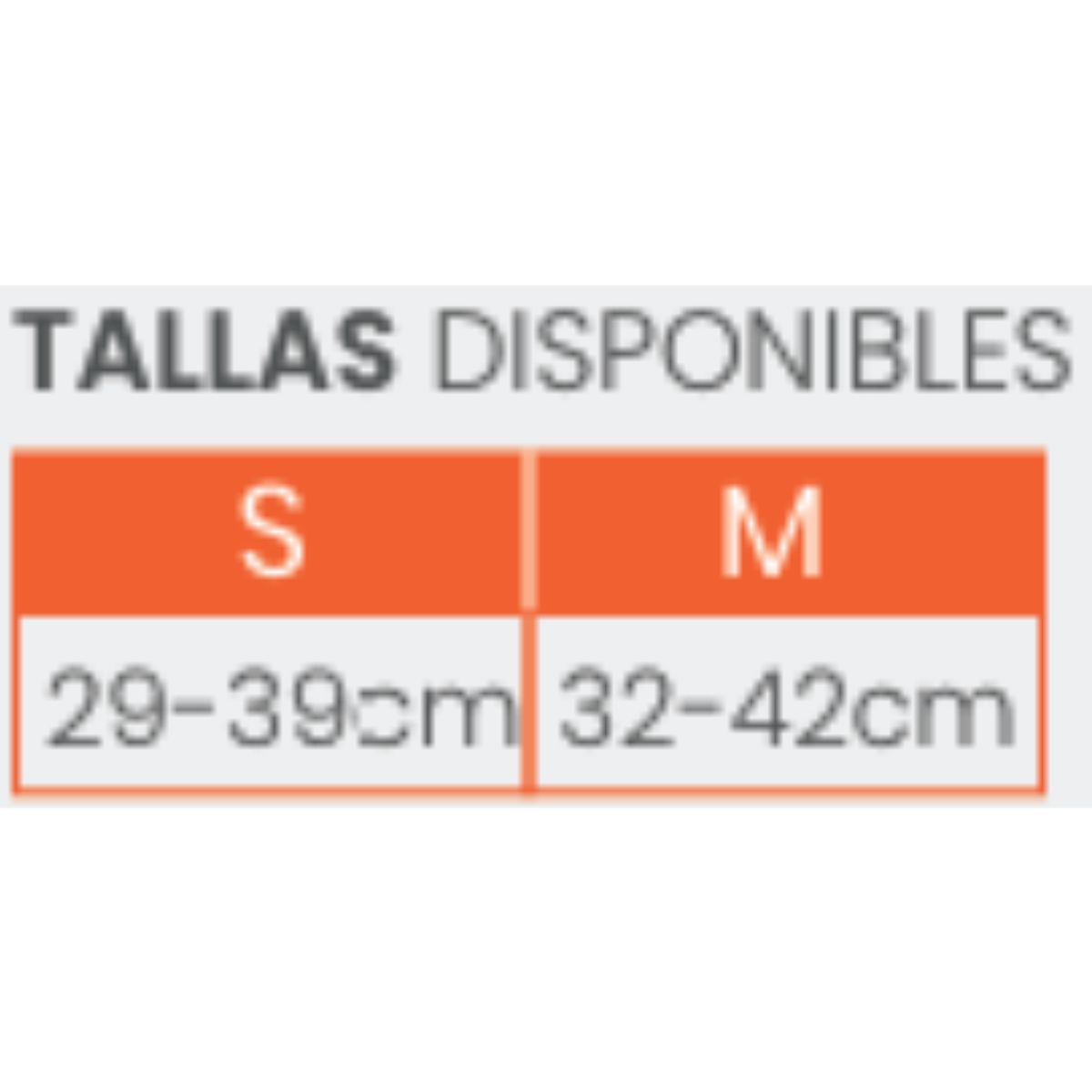 ARGYM - RODILLERA DE VOLEIBOL