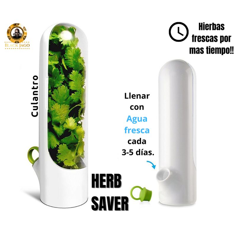 GENERICO - Conservador de hierbas verduras frescas mas tiempo Herb Saver