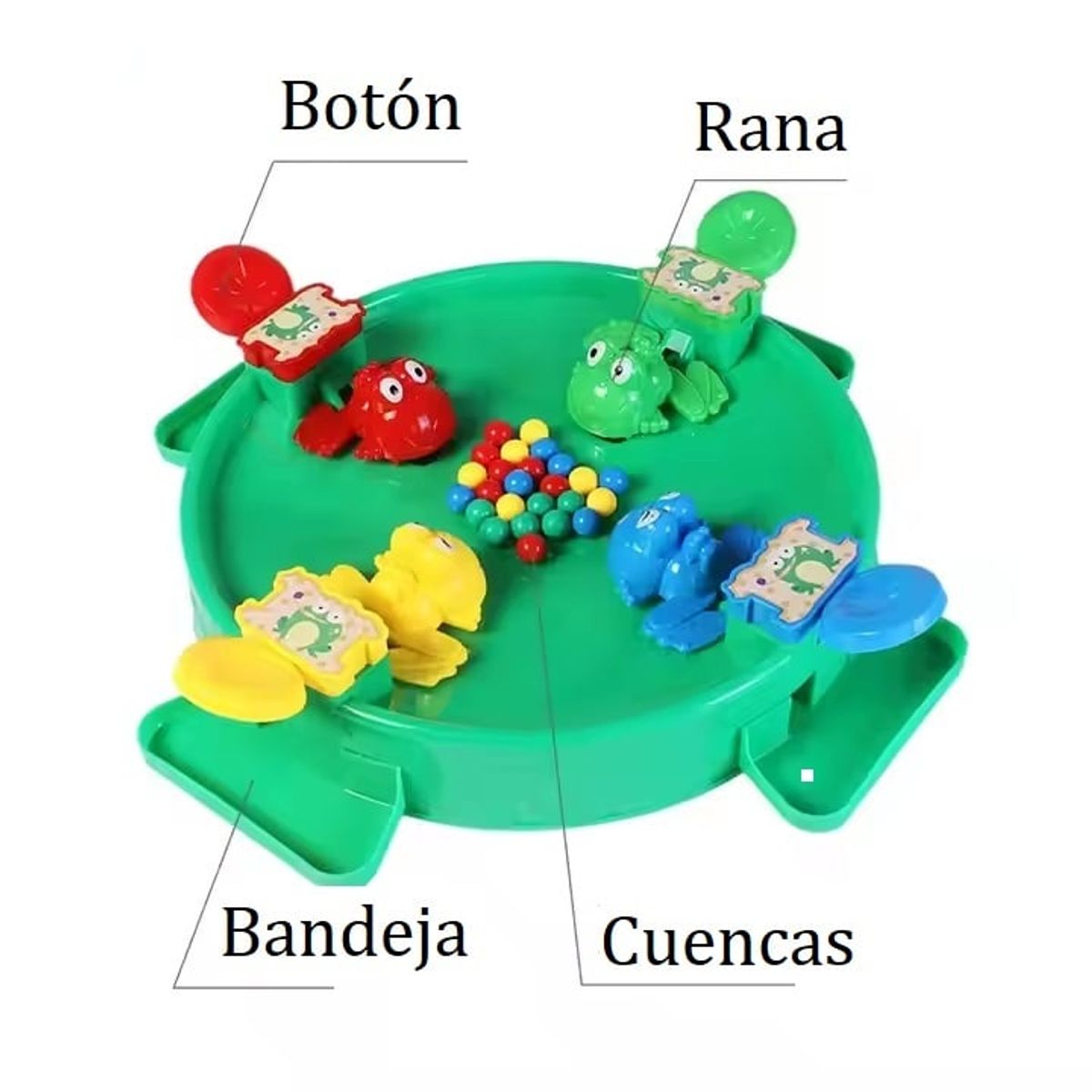 GENERICO - Juego de Mesa Interactivo - Rana come cuencas