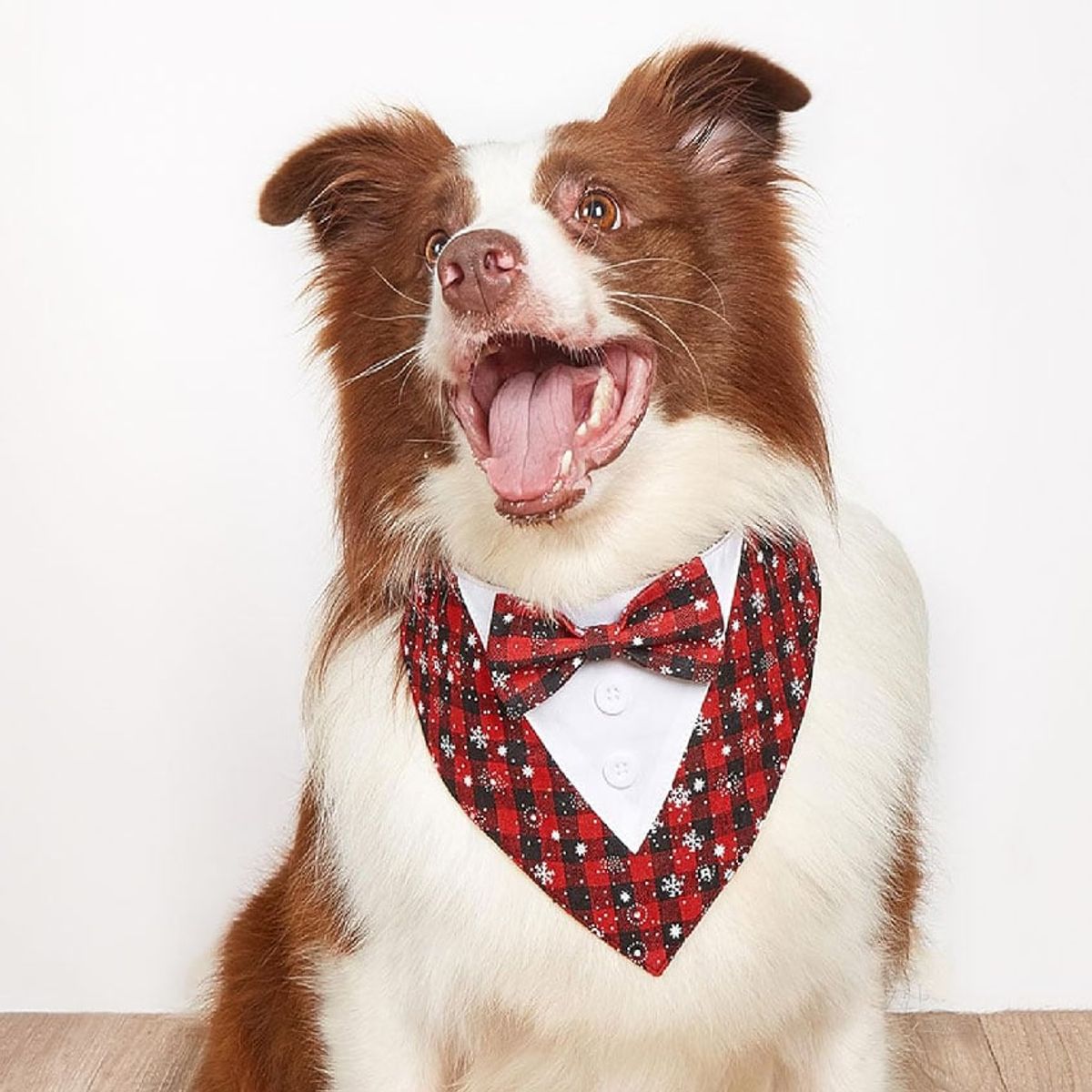 CAT OH - Bandana Tuxedo Navideño - XS