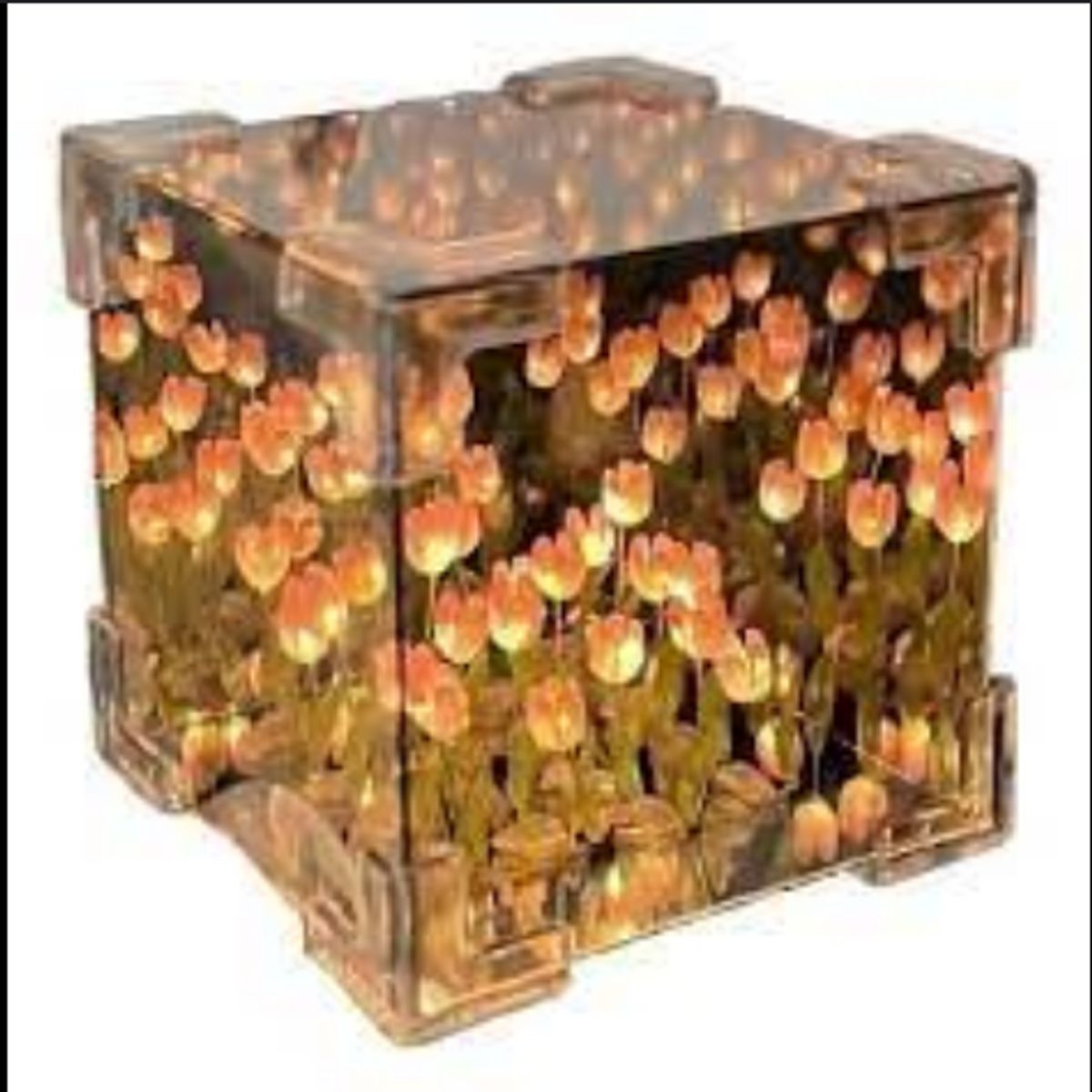 GENERICO - CUBO LÁMPARA DE TULIPANES INFINITO
