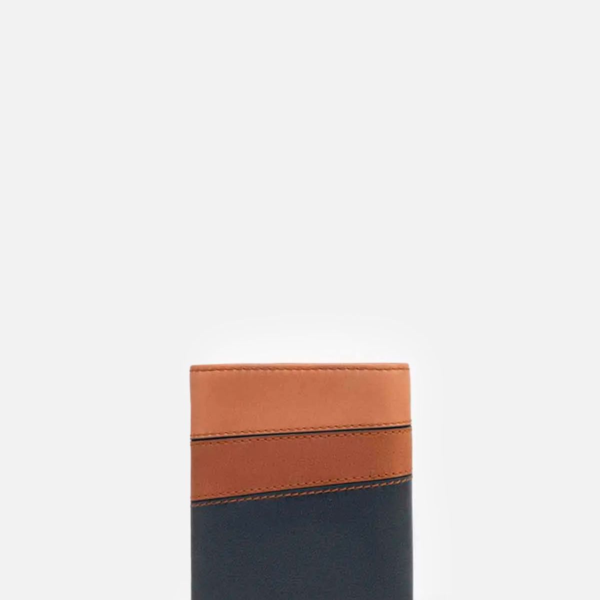 RENZO COSTA - BILLETERA MULTITONO VERTICAL