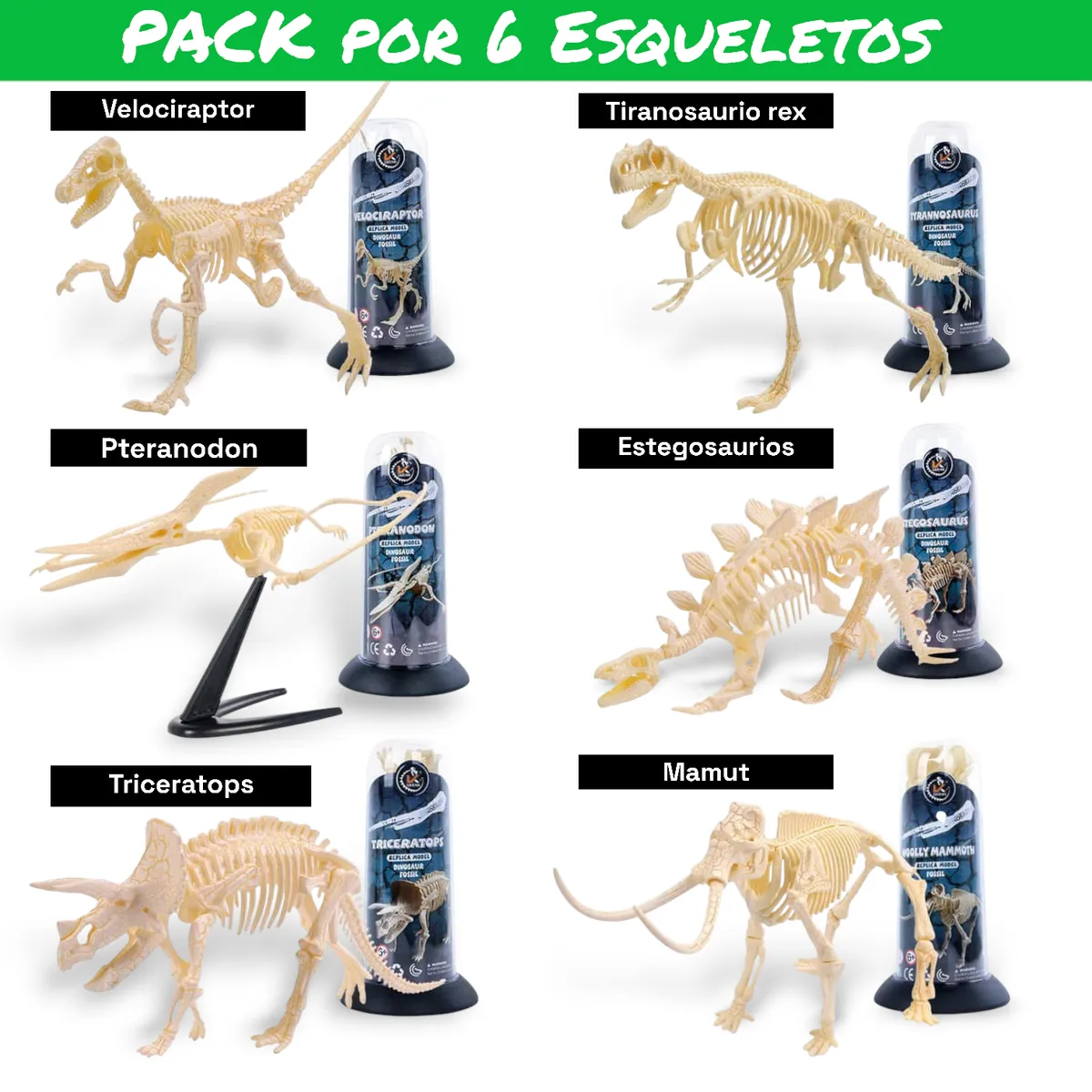GENERICO - Pack de 6 Esqueletos de Dinosaurios armables y variados