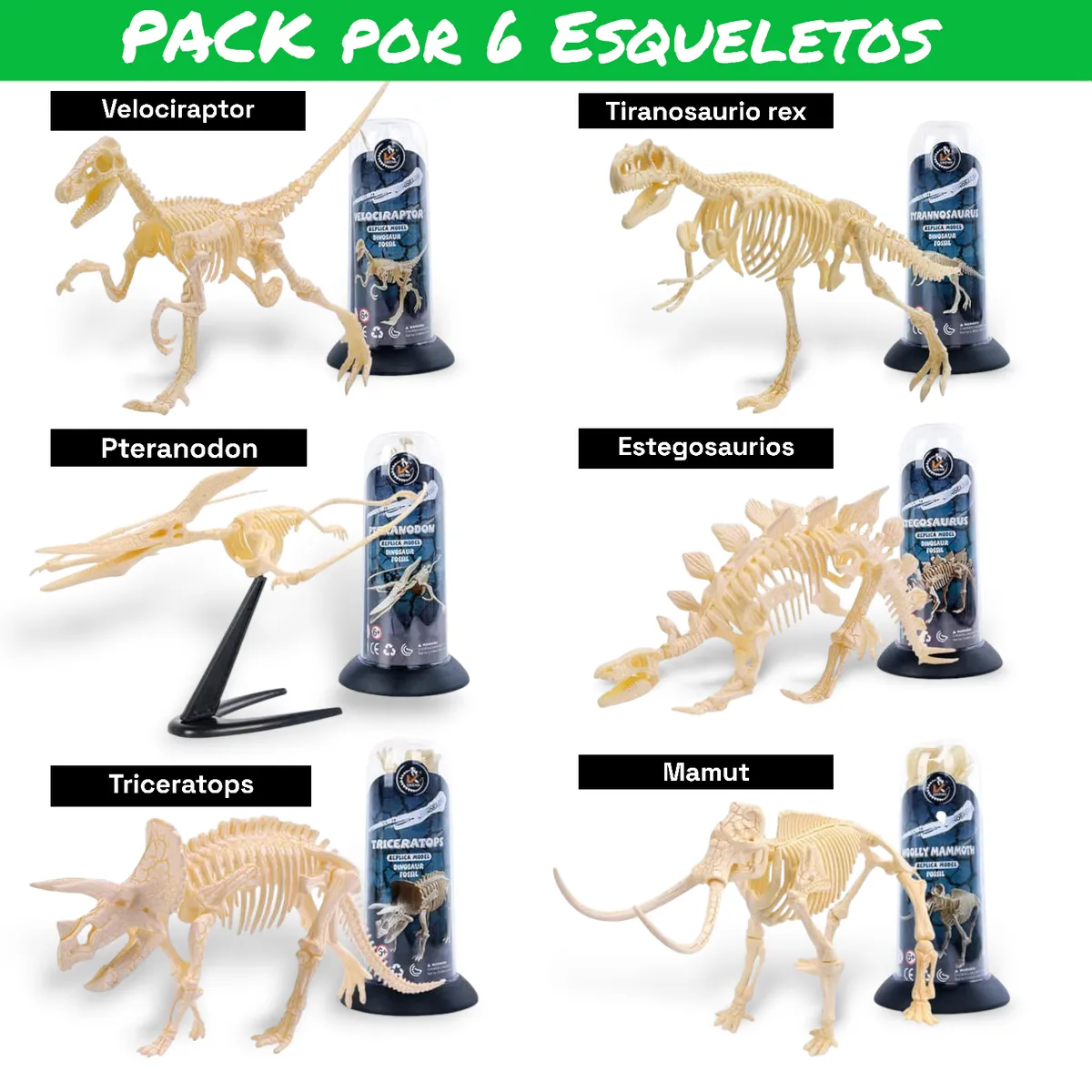 GENERICO - Pack de 6 Esqueletos de Dinosaurios armables y variados