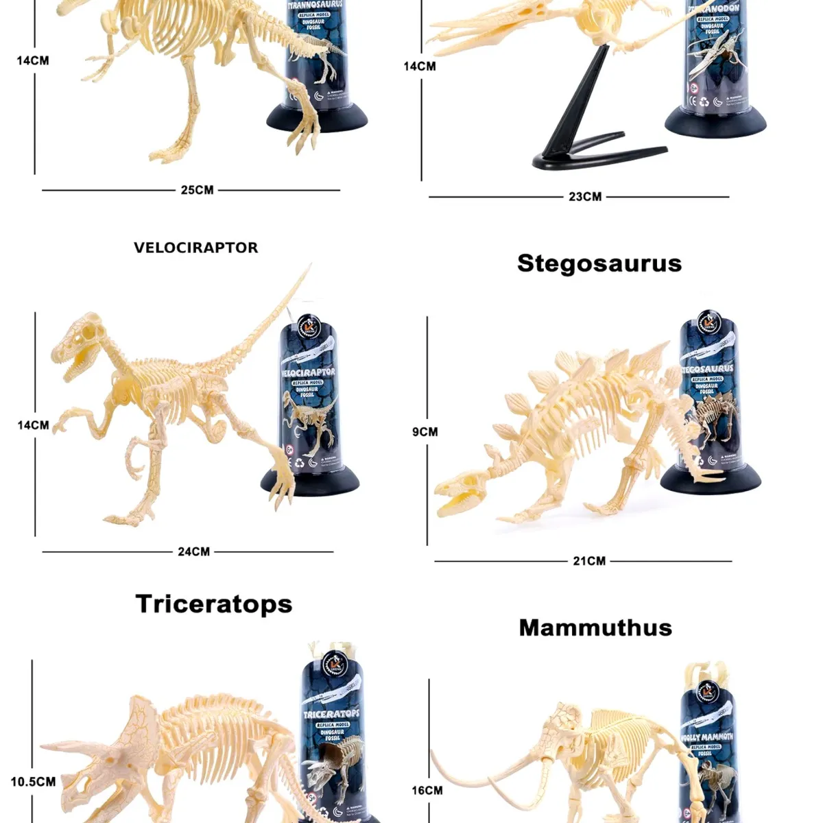 GENERICO - Pack de 6 Esqueletos de Dinosaurios armables y variados