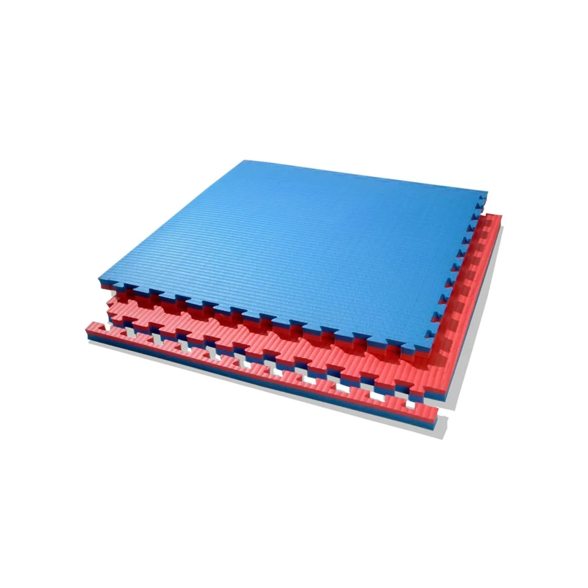 QRUBBER - Plancha Tatami Rojo  Azul 1m x 1m x 4cm QRubber