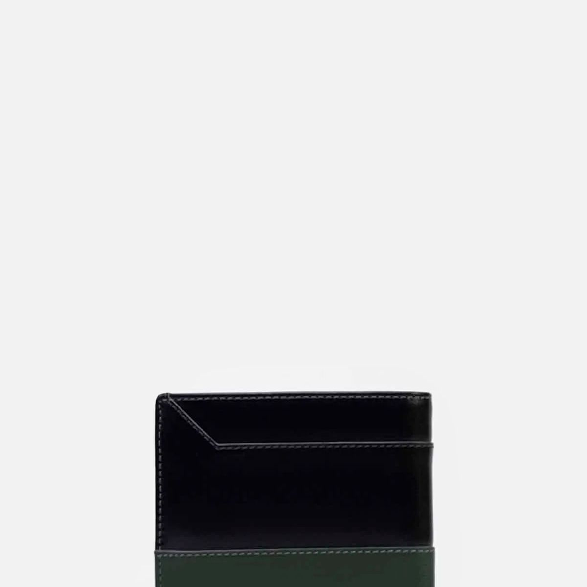 RENZO COSTA - BILLETERA COLORATO