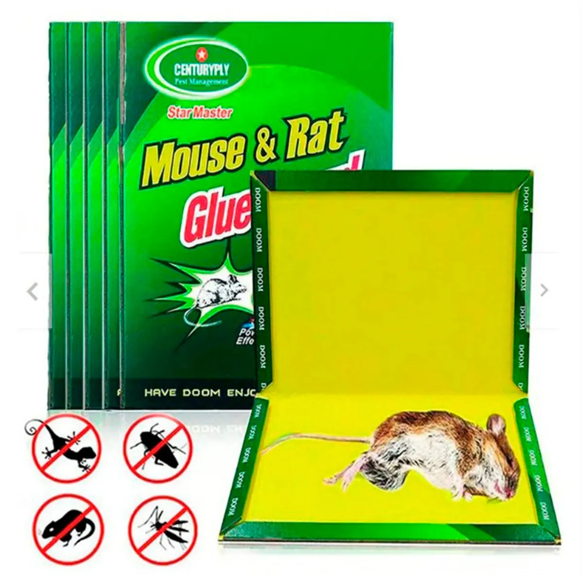 GENERICO - Trampa Para Ratas Y Ratones Con Pegamento  01 Und