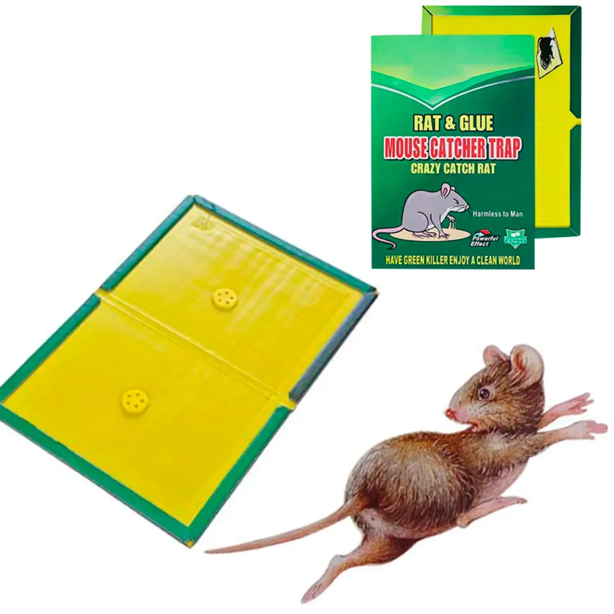 GENERICO - Trampa Para Ratas Y Ratones Con Pegamento  01 Und