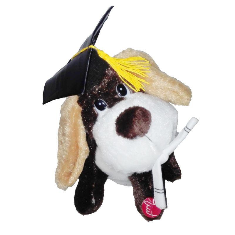 GENERICO - Peluche Perro Graduado Birrete Negro 22cm